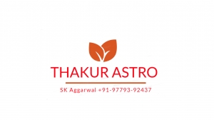 Business solutions expert astrologer+91-9779392437